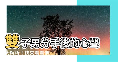 雙子分手後|雙子座分手後的心靈之旅：解讀他們的情感迷宮 – 星語軌跡 讓星。